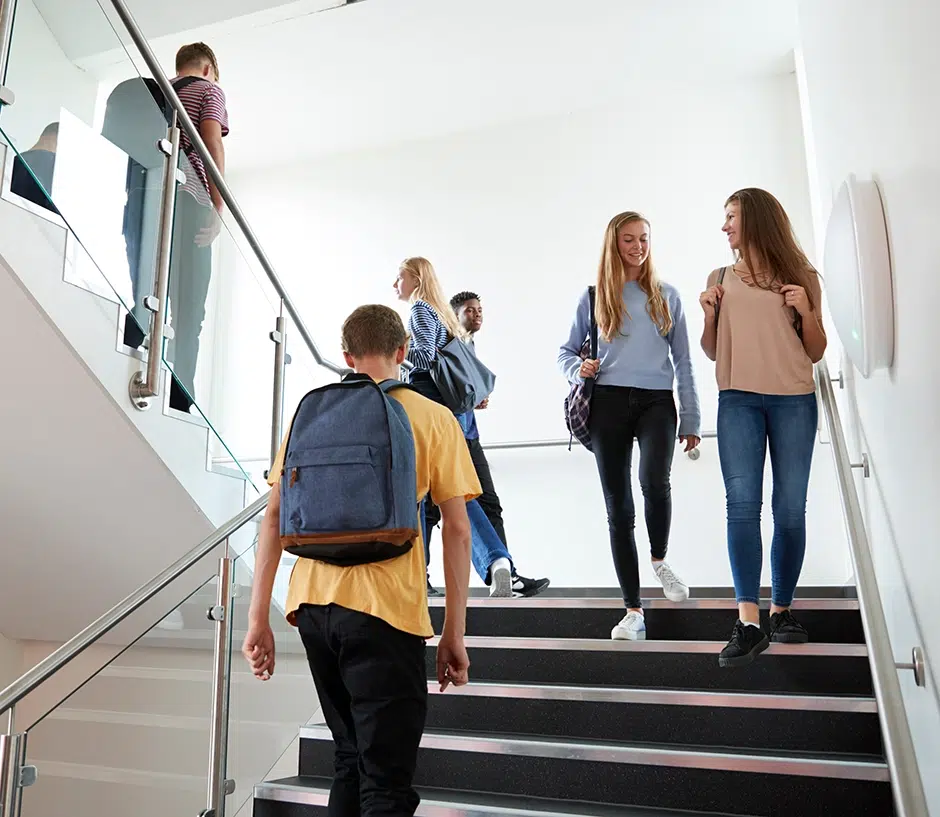 Public Schools (K-12)